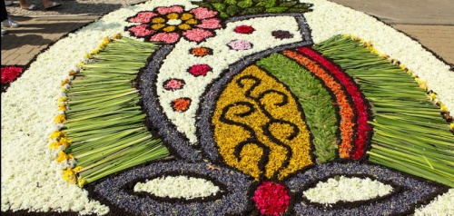 Kwiatowe dywany w Spycimierzu – dziedzictwo UNESCO