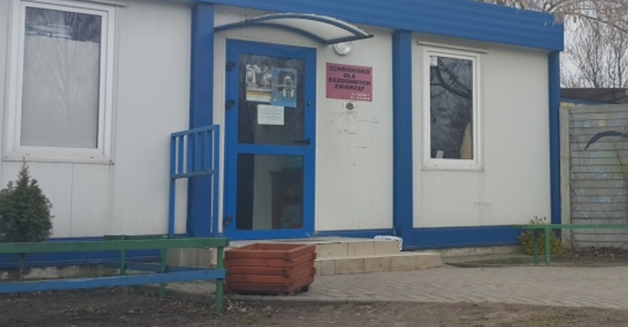 Wiceprzewodniczący rady miasta zapytał o przebudowę schroniska dla bezdomnych zwierząt  