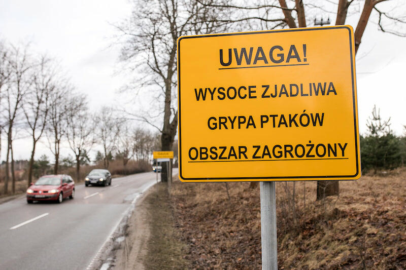 Ptasia grypa zatacza coraz większe kręgi. Kolejne miejscowości w powiecie tureckim  zagrożone