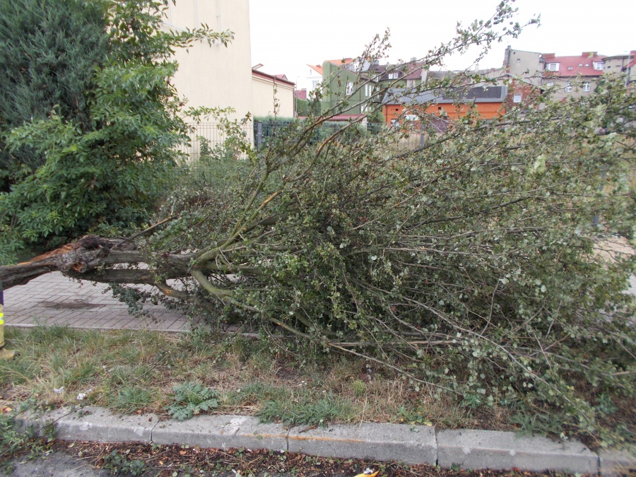 Pracowity tydzień dla strażaków. Byli wzywani 107 razy 