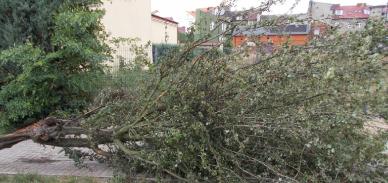 Pracowity tydzień dla strażaków. Byli wzywani 107 razy 