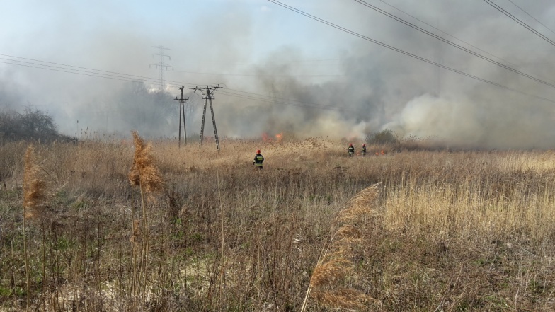Strażacy gasili już 40 razy. Rozpoczął się sezon na pożary traw