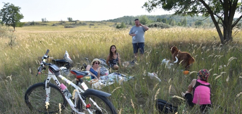 „Zagłębie rokitnikowe, a nie węglowe”. Piknik na pokopalnianej hałdzie 