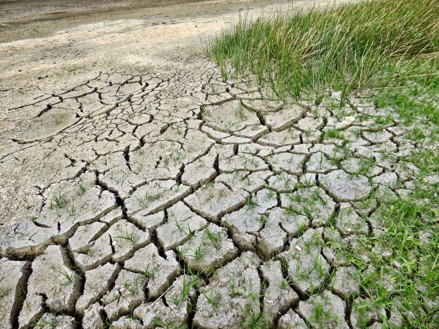 Będą szacować straty na polach. Rolnicy mogą składać wnioski