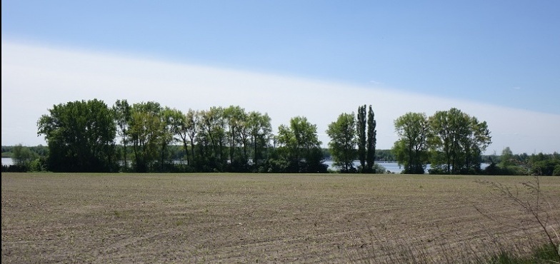 Coraz bliżej przejęcia przez miasto działki nad jeziorem w Łężynie?