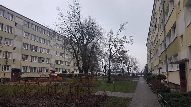 Niedługo rozpocznie się spis ludności i mieszkań. Jakie dane trzeba będzie podać?