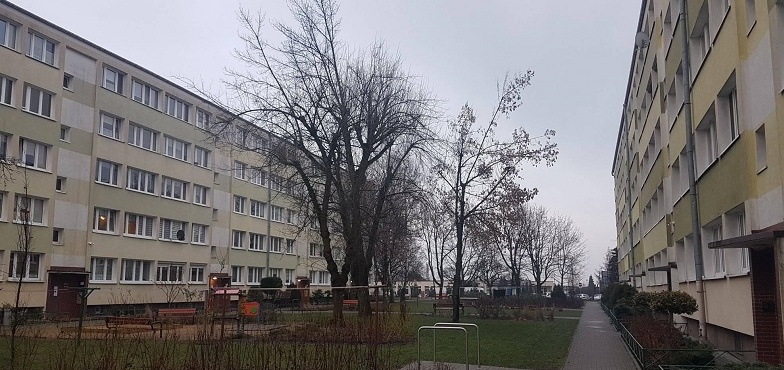 Niedługo rozpocznie się spis ludności i mieszkań. Jakie dane trzeba będzie podać?