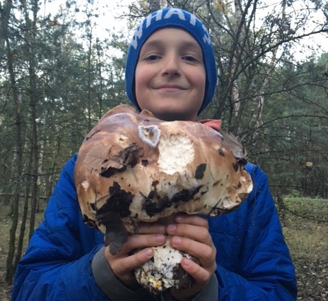 Okazały borowik w lesie pod Koninem. Grzyb-gigant ważył ponad kilogram