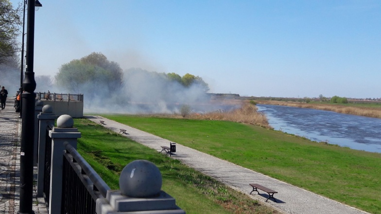 Płoną suche trawy na Bulwarze Nadwarciańskim