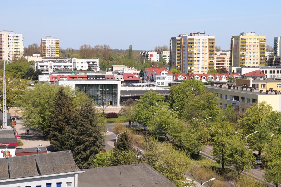 Wkrótce będzie ogłoszony konkurs na ogrodnika miejskiego. Zadba o zieleń w Koninie   