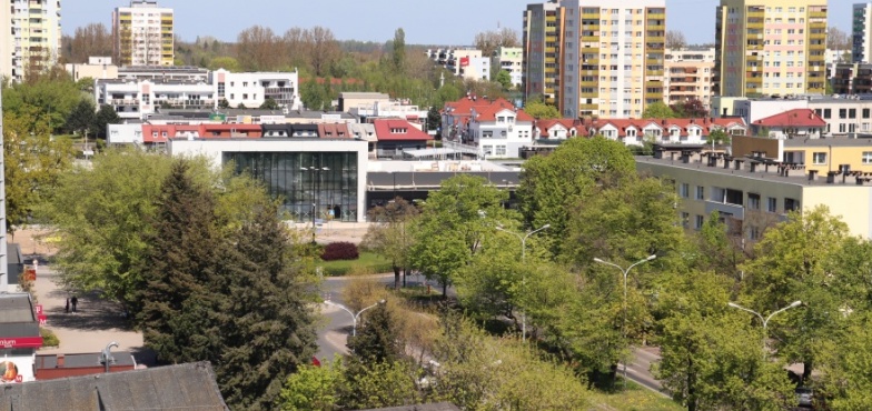 Wkrótce będzie ogłoszony konkurs na ogrodnika miejskiego. Zadba o zieleń w Koninie   