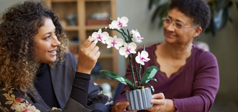 Orchidea - oryginalny pomysł na prezent dla niej!