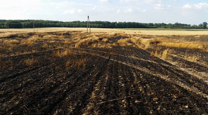 Rozpoczynają się żniwa. Strażacy apelują o zachowanie bezpieczeństwa 