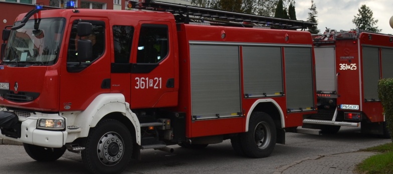Strażacy przed Urzędem Miejskim. Wyczuwalny był silny zapach gazu 