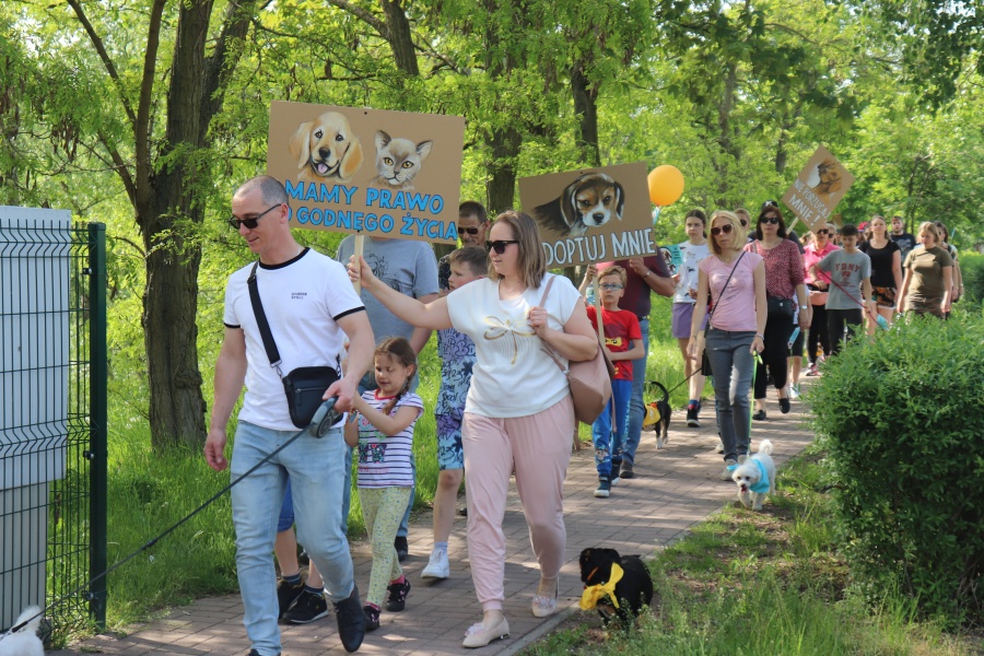 To będzie już jedenasta Konińska Parada Kundelków