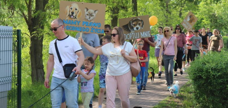 To będzie już jedenasta Konińska Parada Kundelków