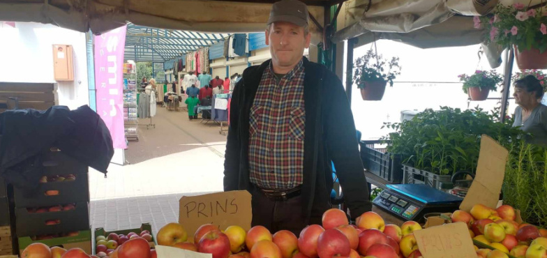 Rolnicy liczą straty. Mróz zniszczył sady i plantacje