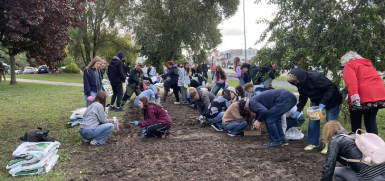 Na Zatorzu posadzili 10 tysięcy krokusów. Pomagali starsi i młodsi