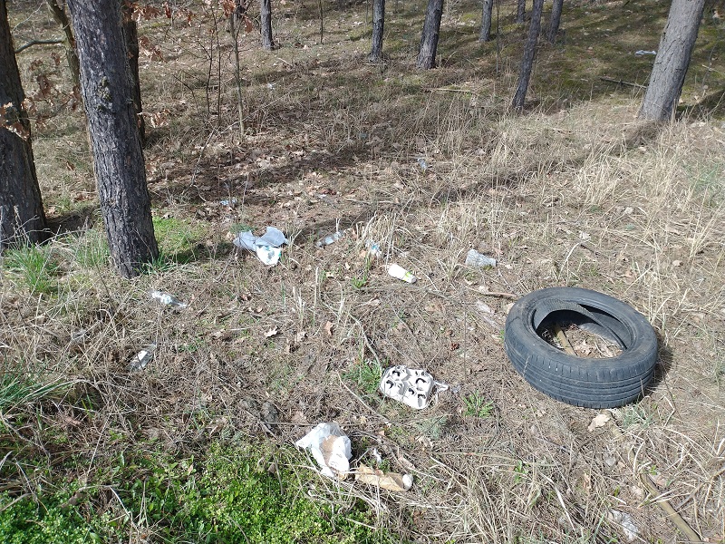 W ciągu godziny zebrali 20 worków śmieci w niewielkim lesie.  „Nie da się tego opowiedzieć, to trzeba po prostu zobaczyć”