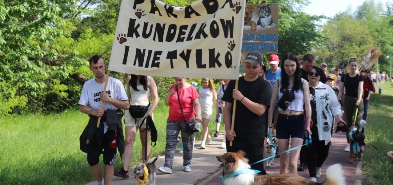 To była już dziewiąta „Parada kundelków i nie tylko”. Ideą jest zamanifestowanie miłości i wdzięczności do naszych czworonogów