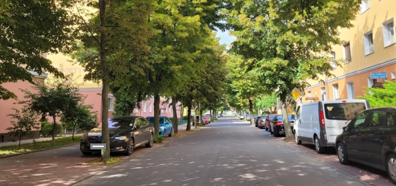 Co z ptasimi odchodami na Górniczej i Energetyka? Prezydent odpowiada radnej 