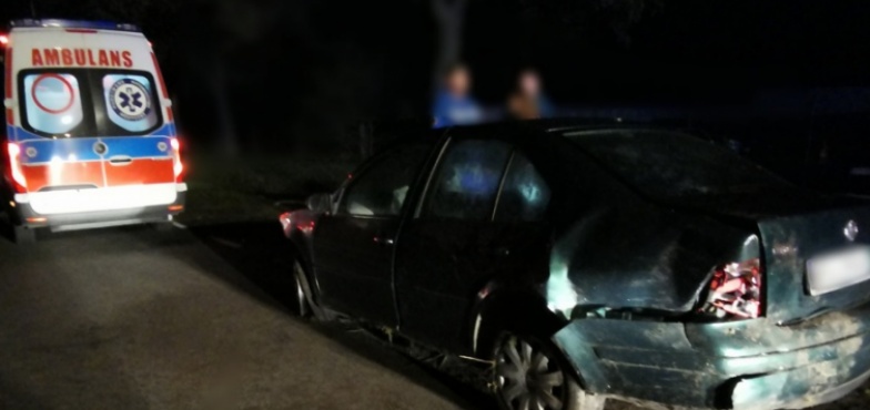 Chciał uniknąć zderzenia z sarną. Wjechał do przydrożnego rowu