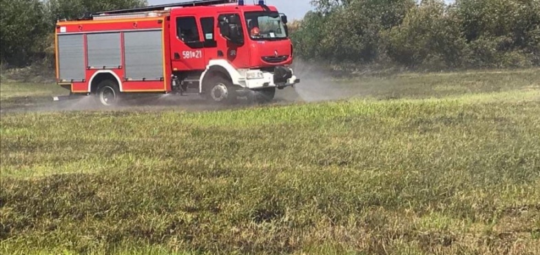 Strażacy i druhowie 3 godziny walczyli z pożarem łąki