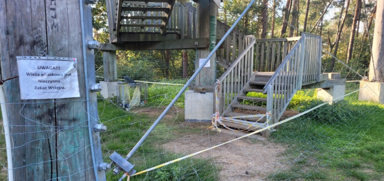 Wieża widokowa zamknięta przynajmniej do jesieni