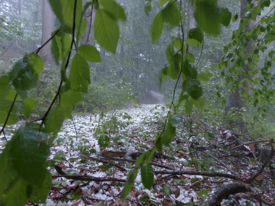 Meteorolodzy ostrzegają – dziś czekają nas burze z gradem