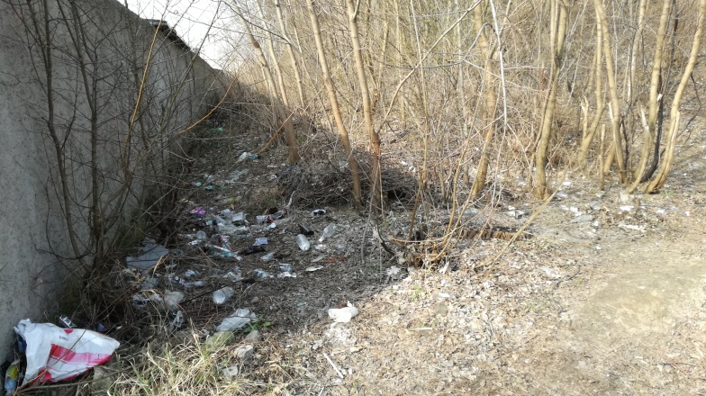 Zatorzańskie hałdy nad jeziorkiem – zamiast kiełkującej zieleni, pełne śmieci