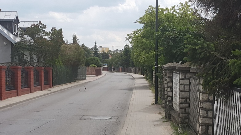 Na kilka dni odcinek ulicy Okólnej będzie całkowicie zamknięty. Będą utrudnienia w ruchu