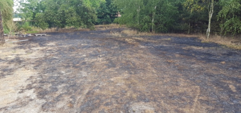 Strażacy podsumowali tydzień służby. Wyjeżdżali 43 razy