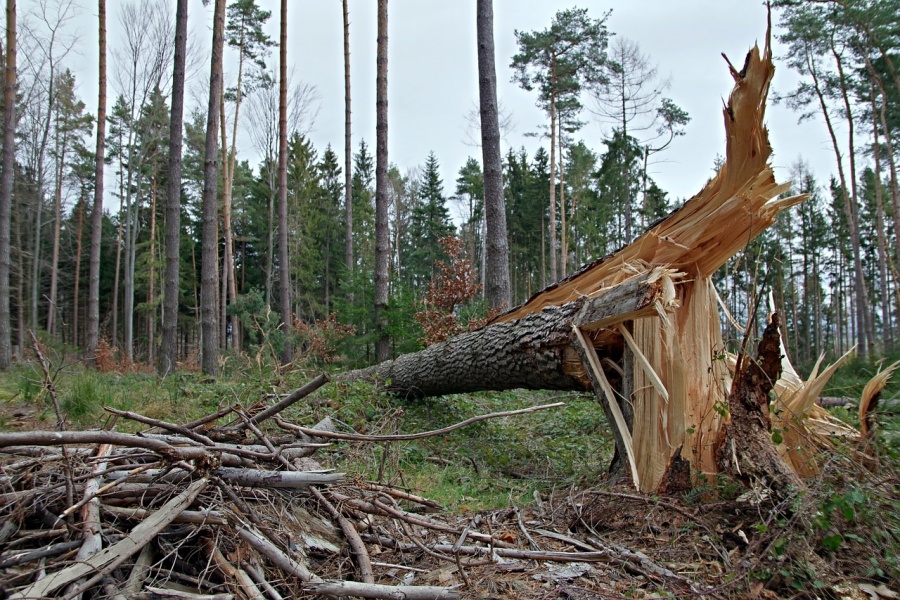 Synoptycy ostrzegają. Jeszcze dziś może mocno powiać 