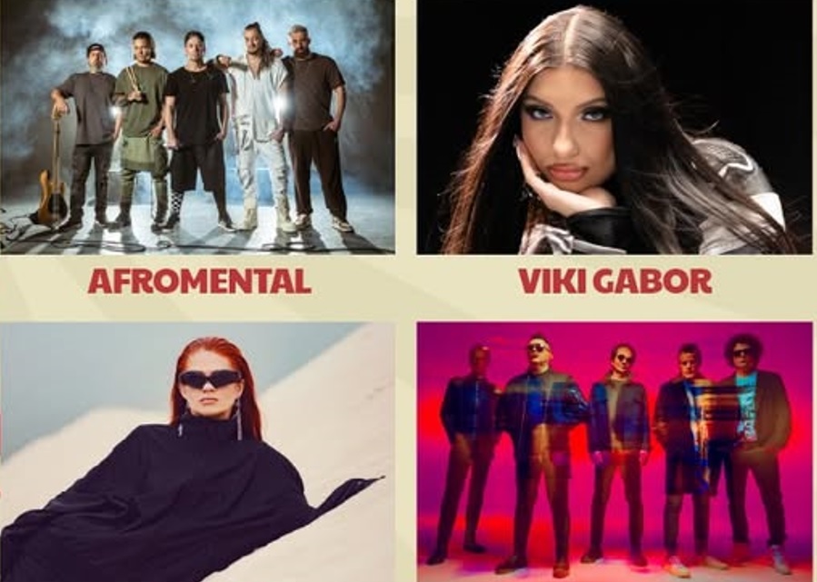 Viki Gabor, Afromental, Margaret i T.Love na błoniach w Koninie 