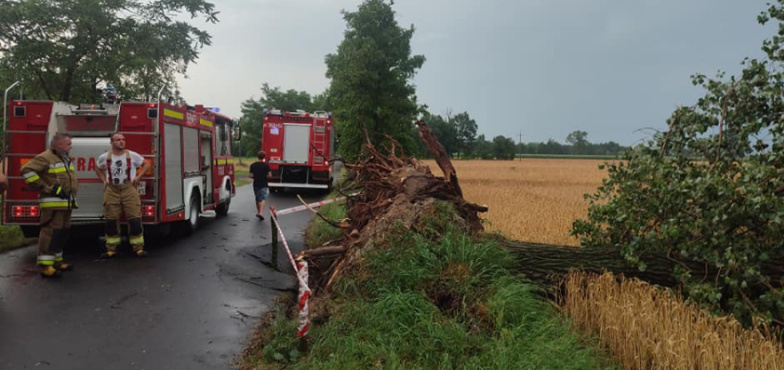 Mieszkańcy pomagali strażakom usuwać skutki nawałnicy