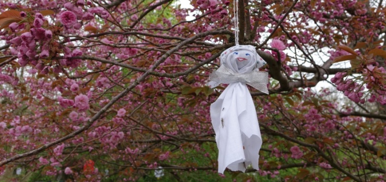 Laleczki, które mają moc sprowadzania dobrej pogody. Trwa w muzeum Piknik Hanami