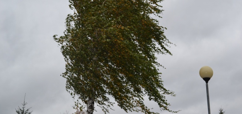Meteorolodzy zapowiadają silne podmuchy wiatru 