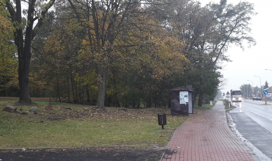 Na rowerze dojadą do przystanku. Potem dopiero wsiądą do autobusu