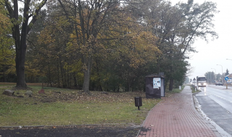 Na rowerze dojadą do przystanku. Potem dopiero wsiądą do autobusu