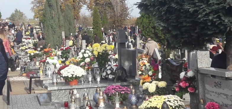 Spółka miejska nie będzie już wykonywała usług pogrzebowych 