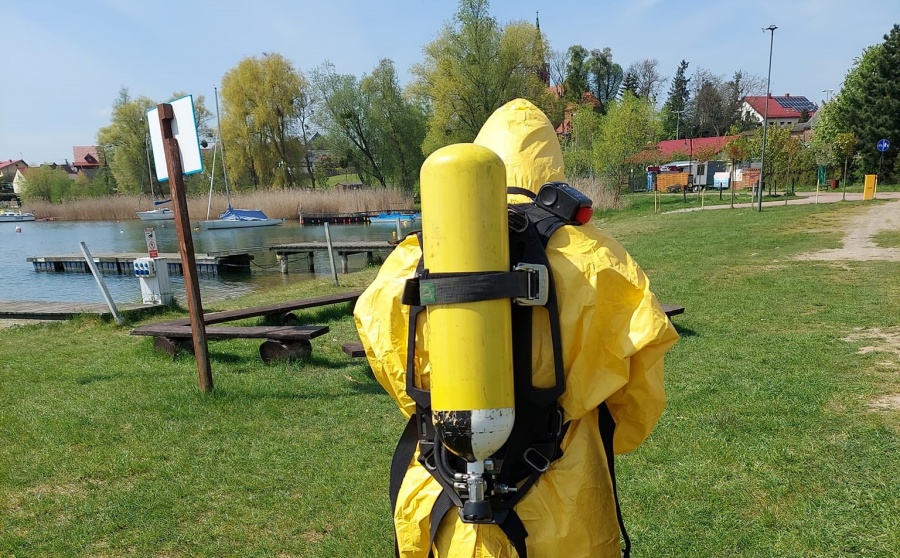 Badania potwierdziły ptasią grypę w okolicach Jeziora Powidzkiego