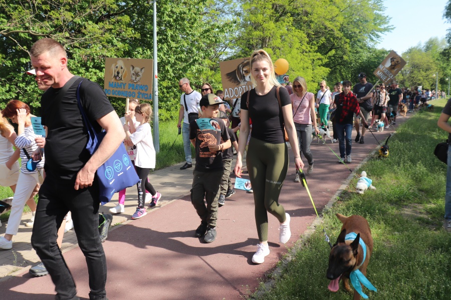 To już dziesiąta Konińska Parada Kundelków i nie tylko