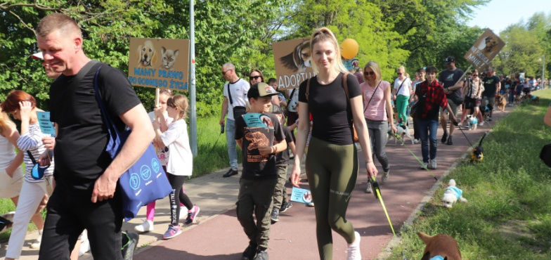 To już dziesiąta Konińska Parada Kundelków i nie tylko