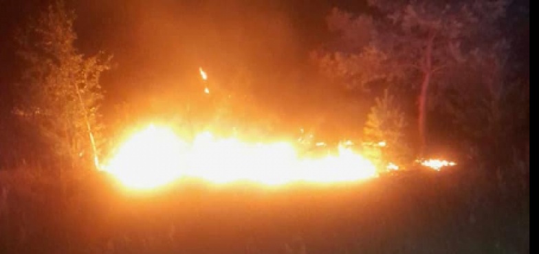 Pożar lasu w Kunach