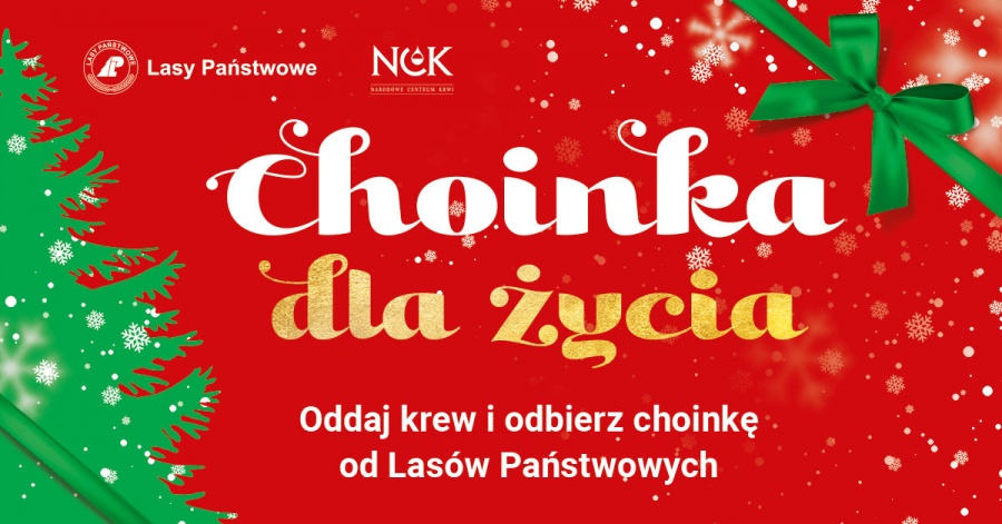Oddaj krew i otrzymaj choinkę na święta od Lasów Państwowych