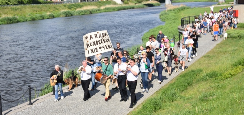 Kilkadziesiąt psiaków przeszło dziś Bulwarem Nadwarciańskim. To już piąta parada kundelków