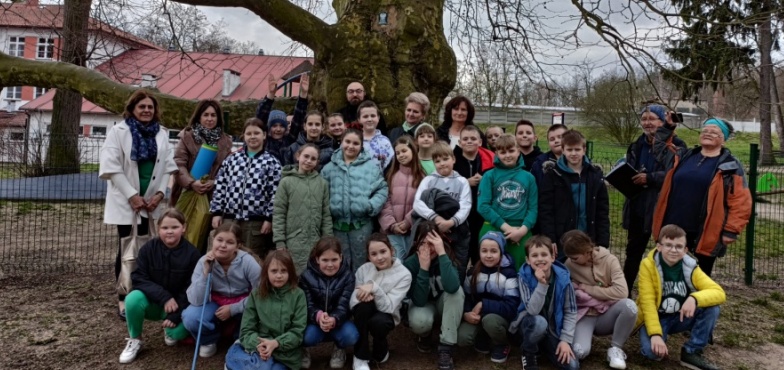 Dąb Dziedzic dostał tabliczkę. Jest okazały i sędziwy