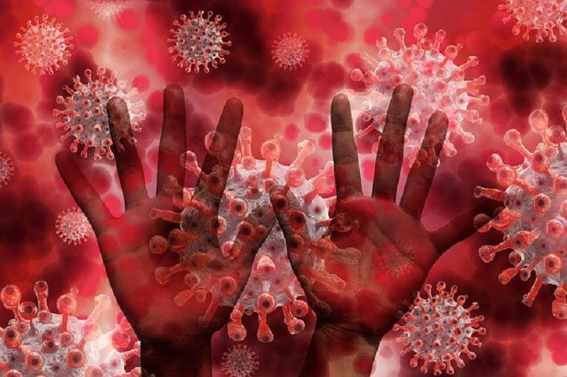 Zmarło ponad 4 tys. osób w Wielkopolsce z powodu COVID-19 od początku epidemii. Dziś 545 nowych zakażeń SARS-CoV-2