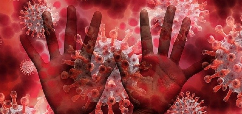 Zmarło ponad 4 tys. osób w Wielkopolsce z powodu COVID-19 od początku epidemii. Dziś 545 nowych zakażeń SARS-CoV-2