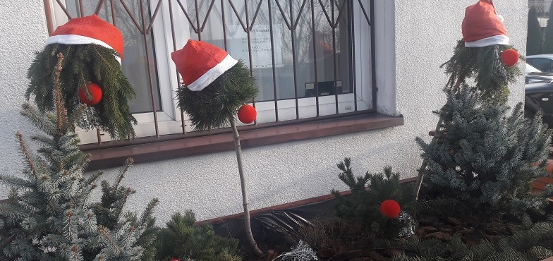 Drzewka w mikołajowych czapkach